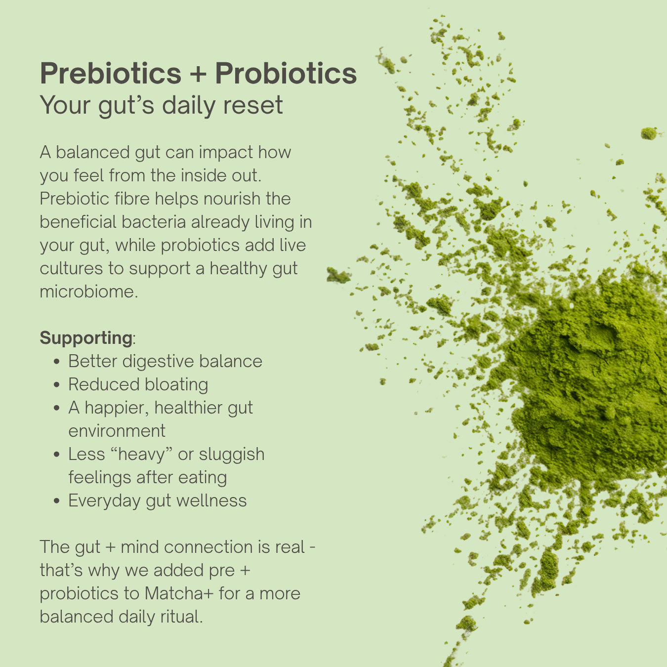 Vanilla Matcha+ Latte Powder
